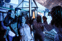 horror nights 2016 050